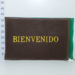 Alfombra Entrada azulverde