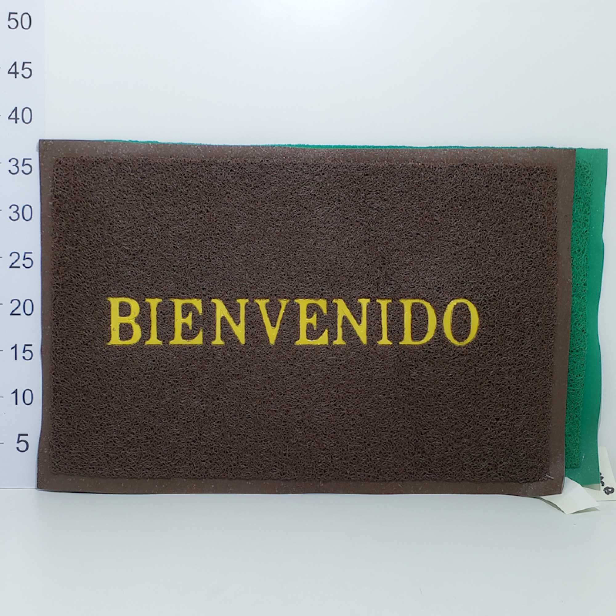 Alfombra Entrada azulverde