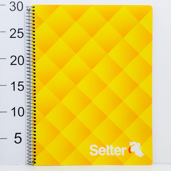 Cuaderno Setter Espiral A4 X 80 Hojas Cuadriculadas Colores Varios