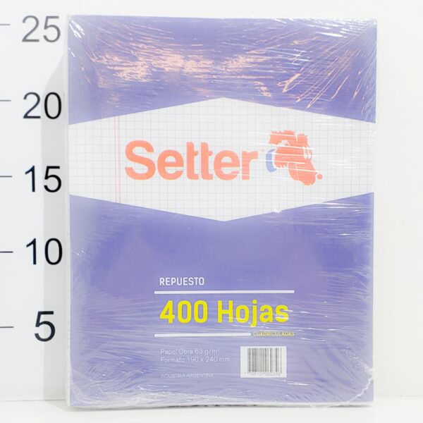 Repuesto Setter 400hoja Cuadriculadas