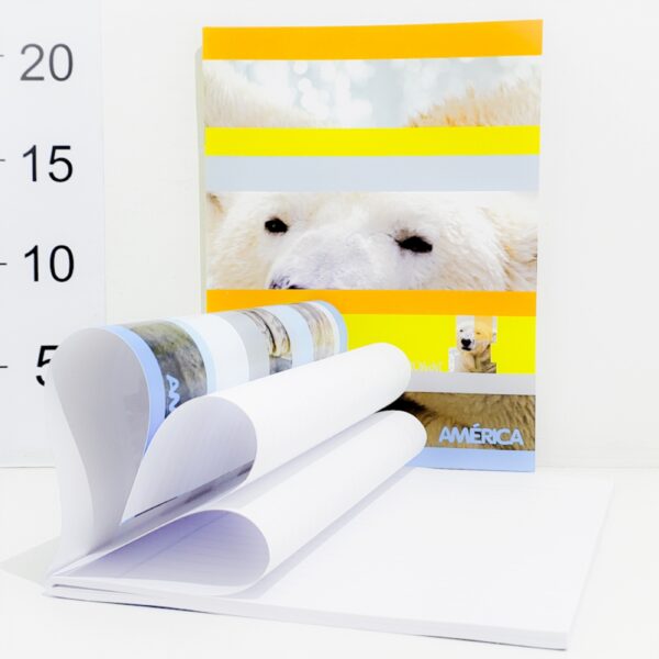 Cuaderno T/flexible Rayado 48 Hojas America