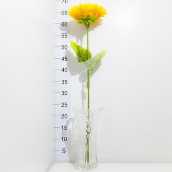 Vara De Girasol