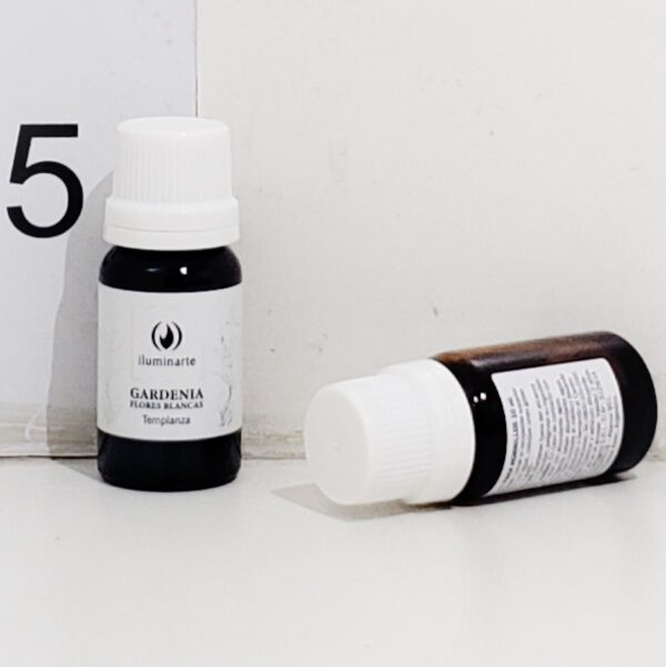 Esencia Hornillo Frasco X 1u Gardenia