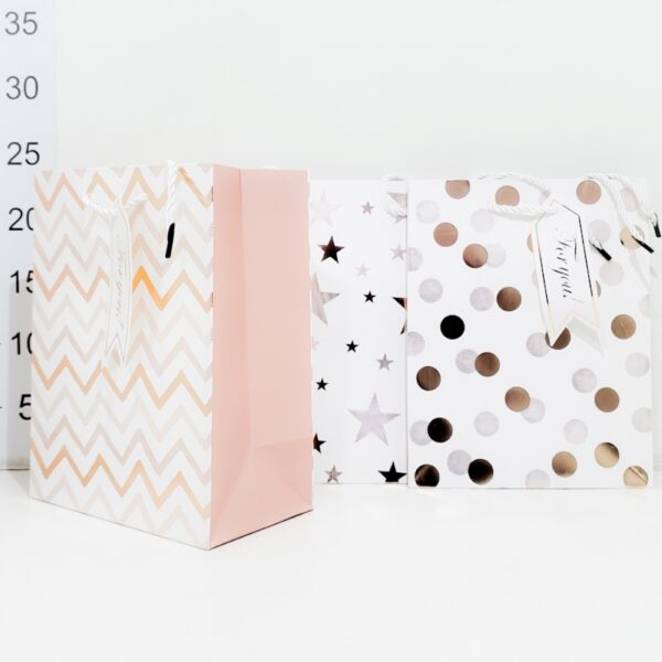 Bolsa De Regalo Carton 18x23x10cm