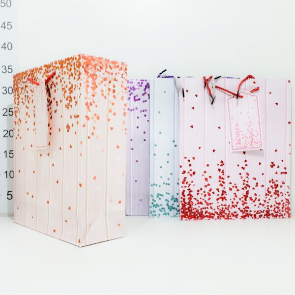 Bolsa De Regalo Carton 26x32x10cm