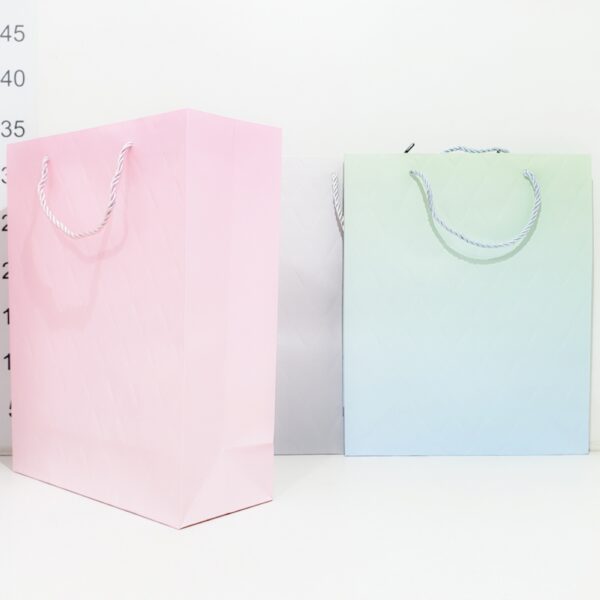 Bolsa De Regalo Carton 26x32x10cm