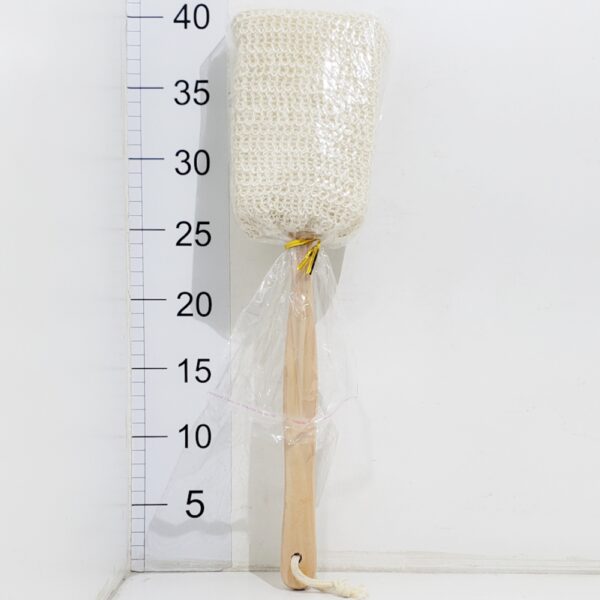 Cepillo Exofiante Mango Madera 36cm