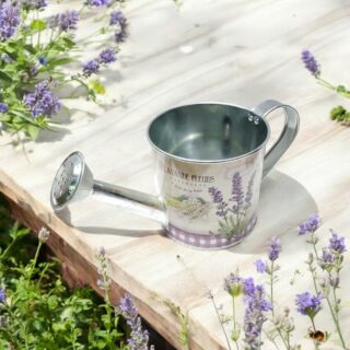 Lata regadera 10x10cm