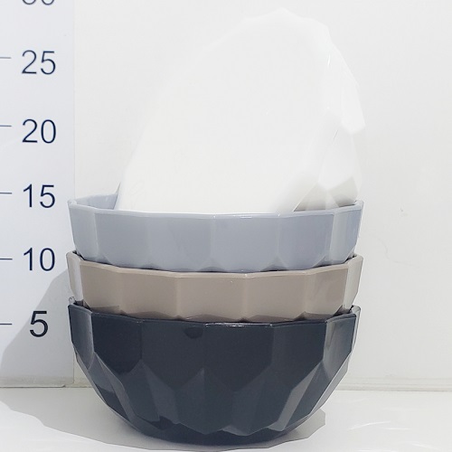 Bowl grande con tapa